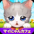 我的猫咪小女友