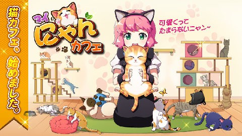 我的猫咪小女友
